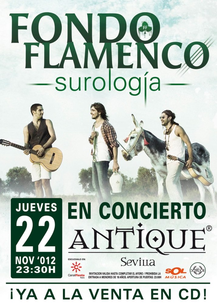 fondo flamenco en concierto. surología